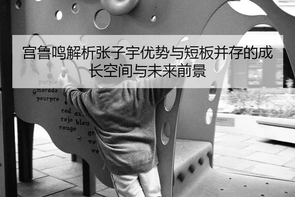 宫鲁鸣解析张子宇优势与短板并存的成长空间与未来前景